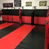AK Athletic Equipment 20' X 10' - Roll-Up Martial Arts Flooring