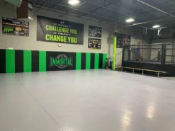 AK Athletic Equipment 24' X 24' Roll-Up Wrestling Mat