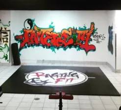 AK Athletic Equipment Wrestling Mats Your Design Digitally Printed 12' X 12' Roll Up Light Weight Wrestling Mat