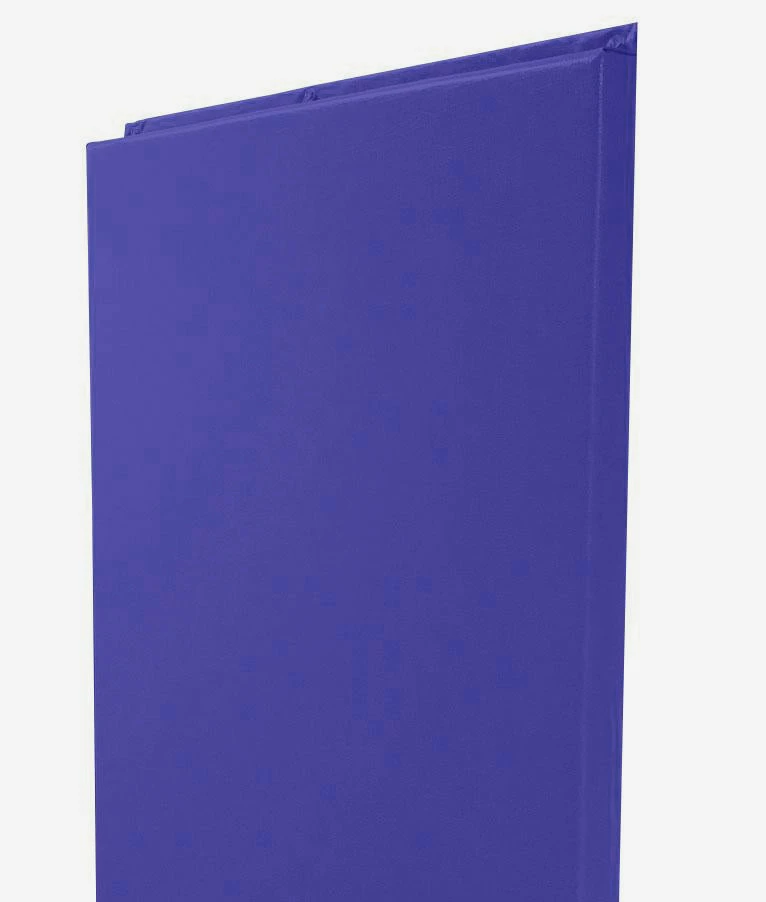 AK Athletic Equipment Custom Wood Backed Gym Wall Padding Panels 2' X 6' 33 AK Athletic Equipment Custom Wood Backed Gym Wall Padding Panels 2' X 6'